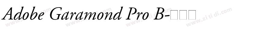 Adobe Garamond Pro B字体转换